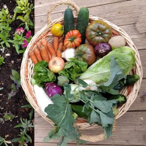 Panier de la Petite Maraichère Bio
