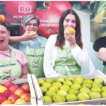 Équipe du Marché du Maine Allain