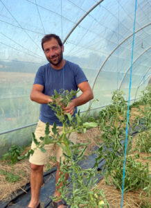 Serre tomates et LB de Mirman - Vallée des Ours @ Lydia Labrue